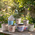 Watering Plant Pot – Grow Beautiful Plants with Ease