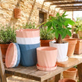 Stylish Flower Pot for Home Decor– Simple Design, Premium Style
